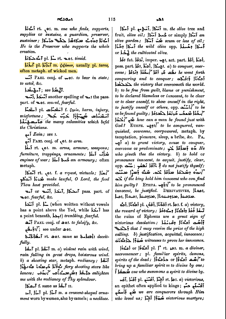 Zizanion - Tares - R. Payne Smith - A Compendious Syriac Dictionary (1903, 2013) 115 Highlighted.png